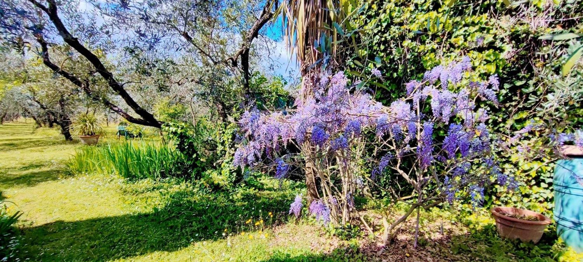 Vila La Casa Dei Nonni Larciano Exteriér fotografie