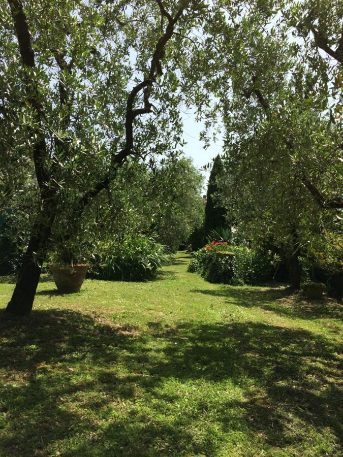 Vila La Casa Dei Nonni Larciano Exteriér fotografie